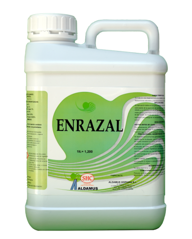 ENRAZAL ENRAZAL